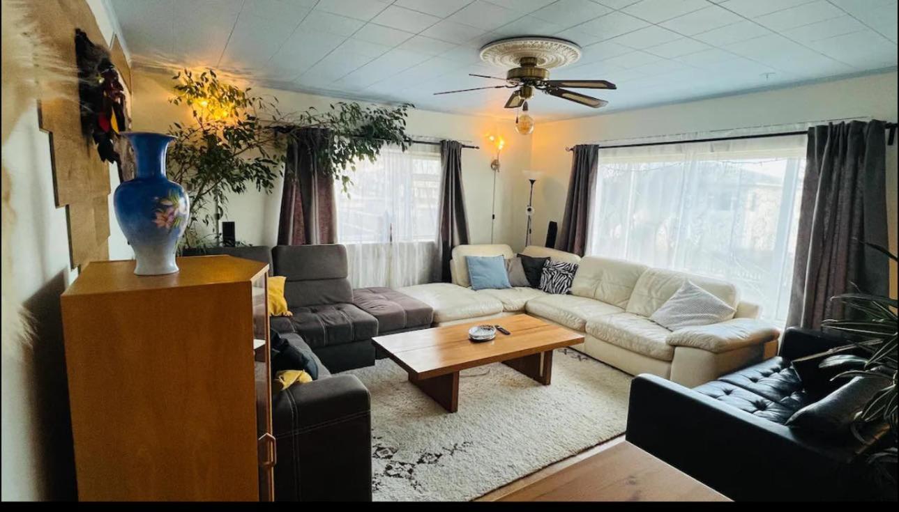 Dream Guesthouse Vík Eksteriør bilde